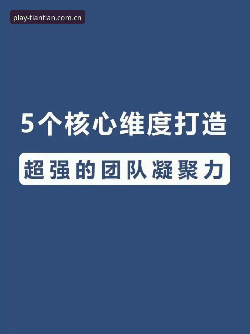 5个让天天娱乐账号管理更高效的核心技巧