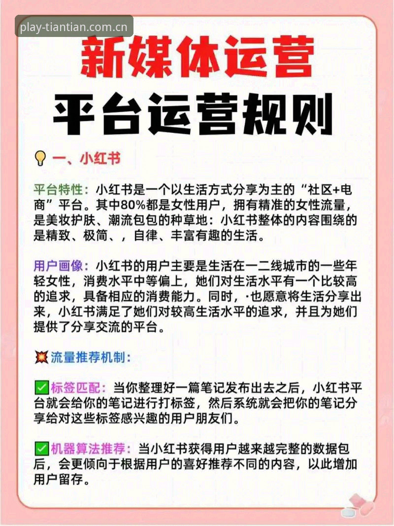 5个让天天娱乐账号管理更高效的核心技巧